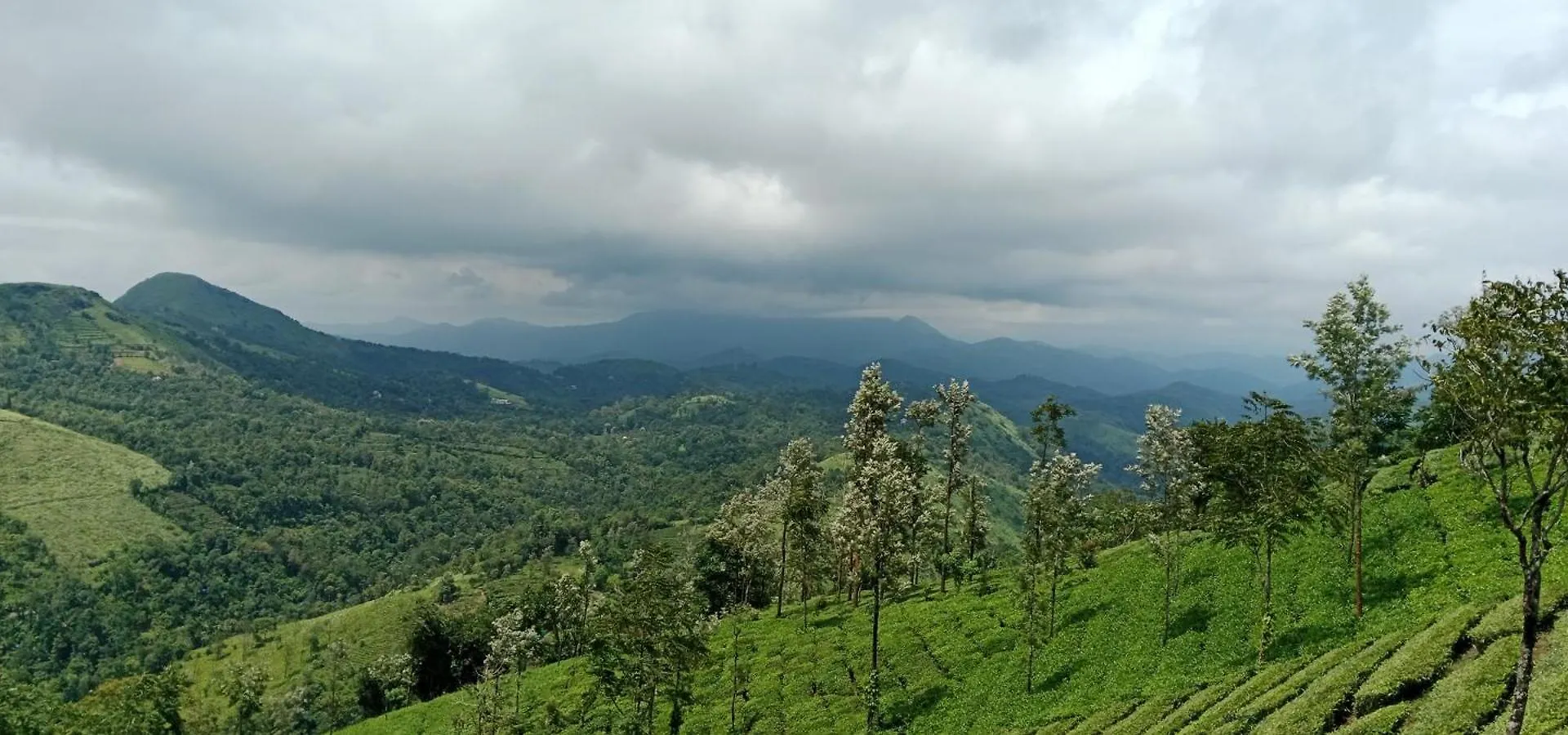 Silver Homestay Vagamon 0*,  Índia
